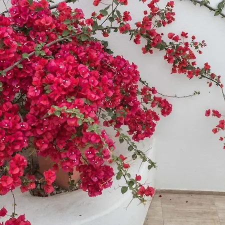 Depis & Appartement Naxos City
