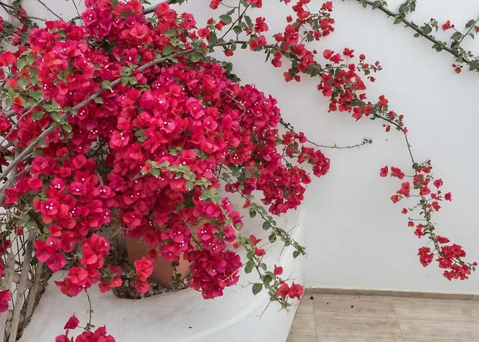 Depis & Apartment Naxos City